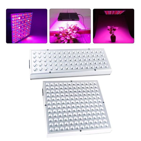 

grow lights indoor plant red blue lamp for hydroponic, gardening, farm