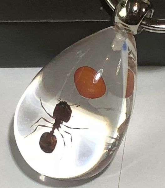 

10 pcs keychain real red bean ant lucid drop design key ring, Slivery;golden