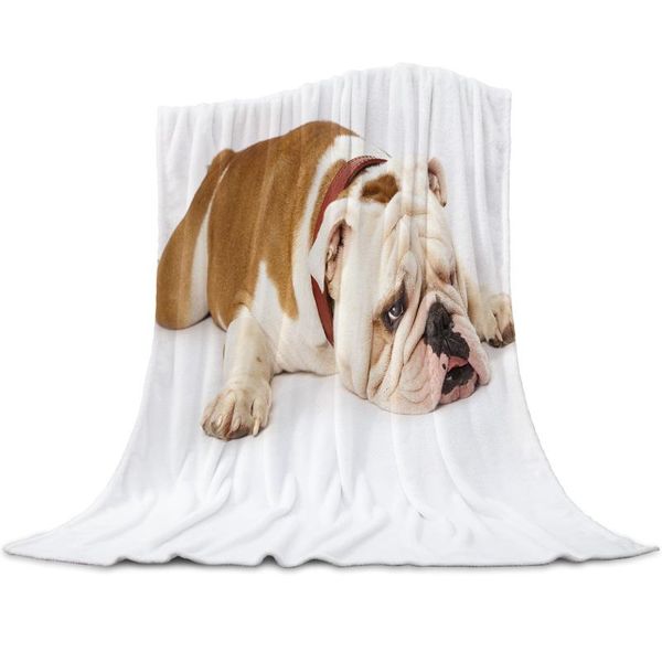 

blankets bull dog sad funny throw blanket soft comfortable microfiber flannel plush warm sofa bed sheets