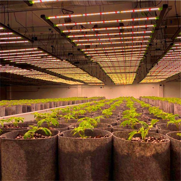 LED Grow Lights Samsung LM281B Aranha Dimmable 640W Completa Spectrum Barra impermeável dobrável para vegetal Indoor / Bloom
