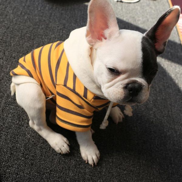 

dog hoodies sweatshirt coat winter clothes puppy clothing apparel cat chihuahua yorkie poodle schnauzer pug costume outfit 1