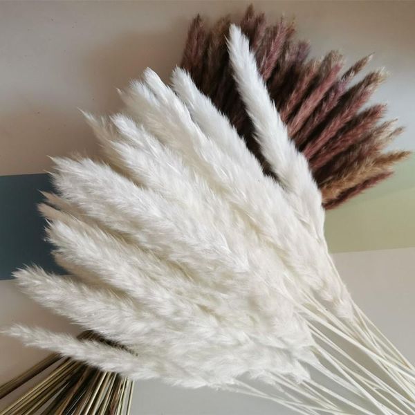 

decorative flowers & wreaths home decor bulrush natural dried small pampas grass phragmites artificial plants wedding bunch blumen dekoratio