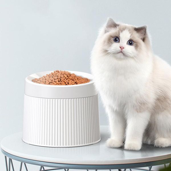 

cat bowls & feeders bowl elevated plastic geometry neck and whiskers separated into three dog