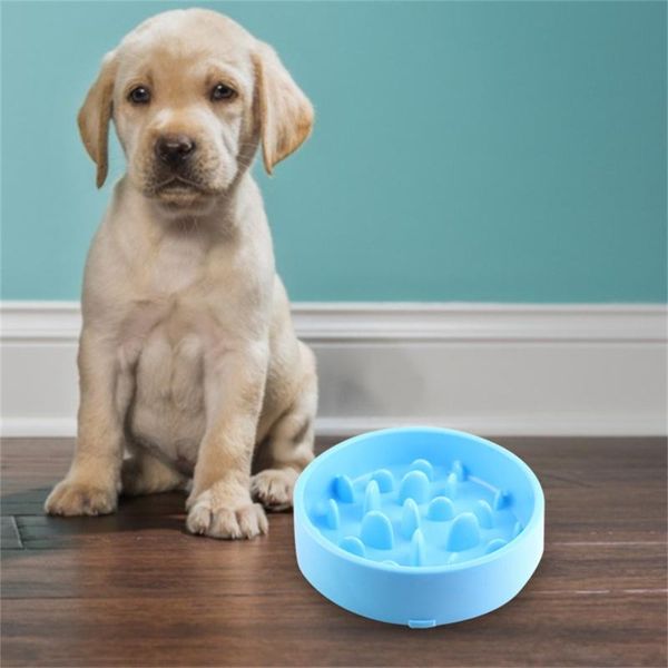 

cat bowls & feeders anti-slip and anti-skid slow food feeding bowl for dogs cats pet feeder product supplies