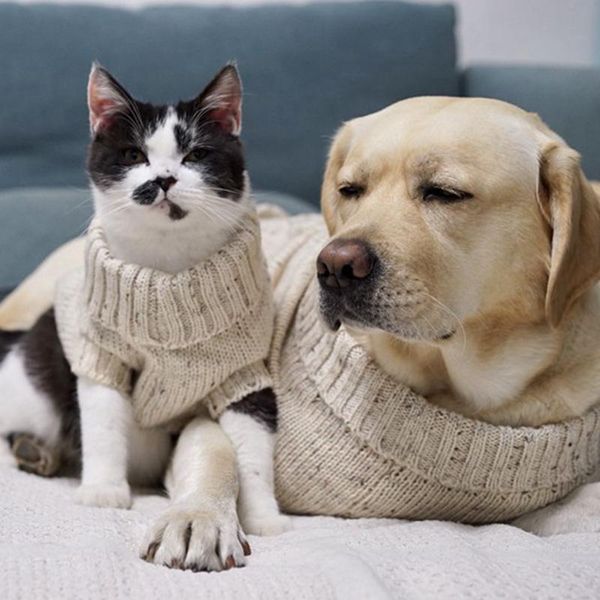 

cat costumes [mpk sweaters] design pet sweater, dog