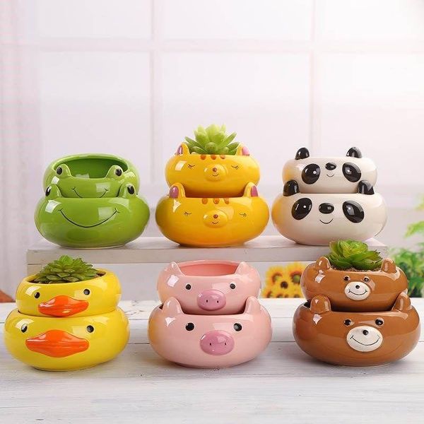

animal bonsai pot cartoon succulent flowerpot cute pig bear cat plant poted fleshy ceramic vase garden home decoration planters & pots