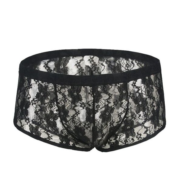 

underpants men's underwear sissy lace briefs mesh hollow out panties erotic transparent low waist lingerie gay, Black;white