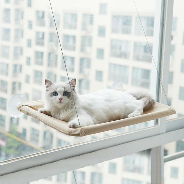 

cat beds & furniture cute pet hanging bearing 20kg hammock sunny window seat mount comfortable bed for mat shelf