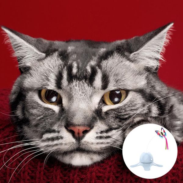 

1pc electric cat teaser simulated teasing battery blue toys