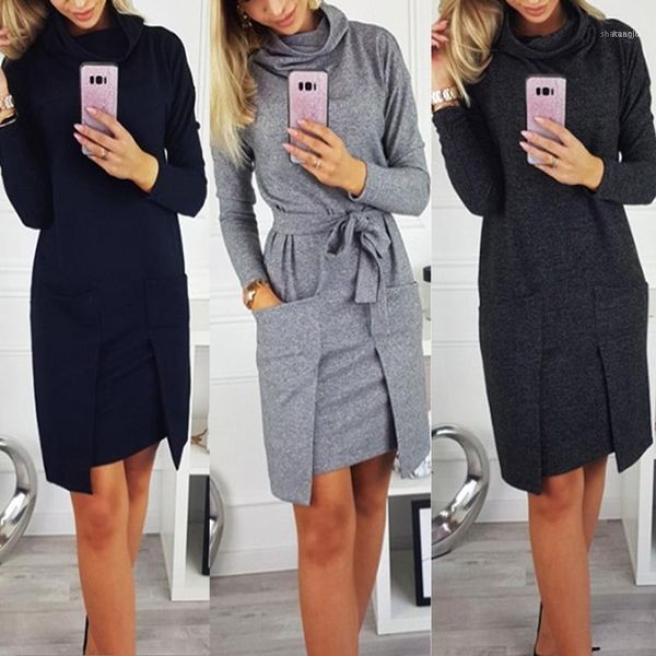 

autumn winter women fashion elegant neck long sleeve big pocket ladies female large solid color blouse dress1, Black;gray
