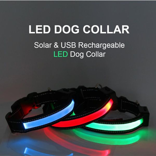 

dog collars & leashes petrainer led collar with solar charge and usb chargeable leash