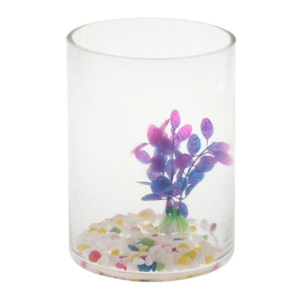 

cylindrical glass tank small ecological system aquarium fish - 2 decorations