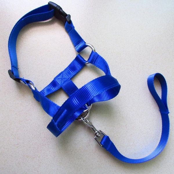 

adjustable head collar dog halter training no pull nylon practical durable traction rope leash outdoor anti bite pet gentle collars & leashe