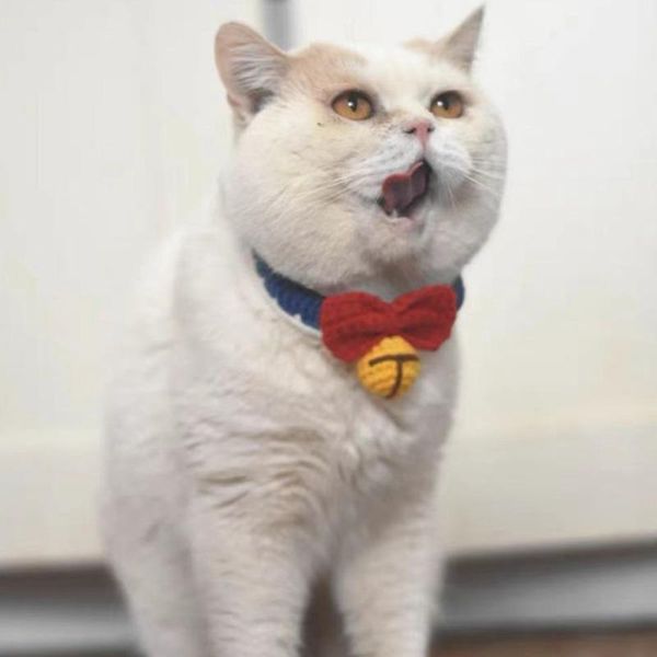 

cat collars & leads pet dog collar simple modern cotton material soft comfortable durable holiday party decoration supplies