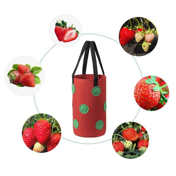 

planters & pots 13 holes potato strawberry planter bags for growing potatoes outdoor vertical garden hanging vegetable fruit planting grow b