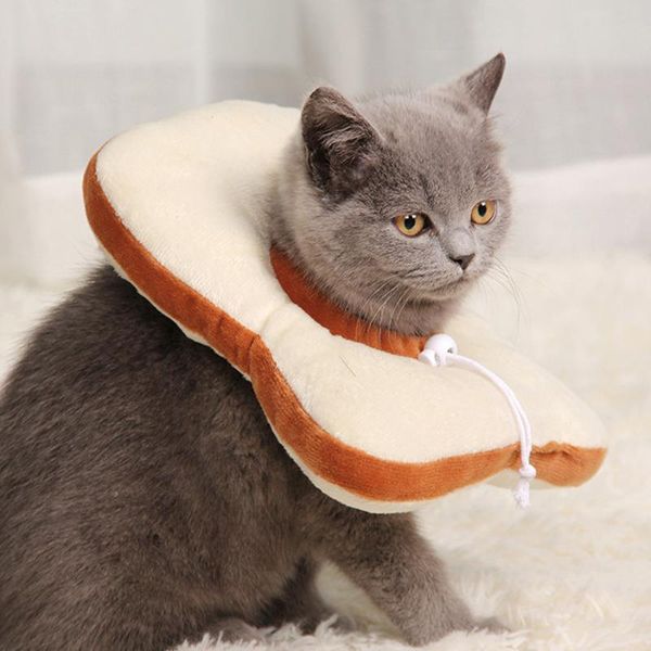 

cat collars & leads pet dog elizabeth circle collar avocado shaped cotton adjustable dogs protective neck cone recovery wound