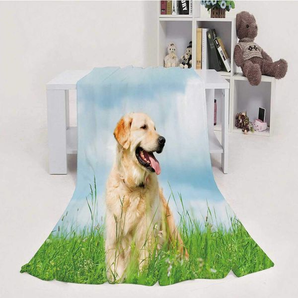 

on a Meadow Springtime,House Flannel Throw Microfiber Blanket Meadow