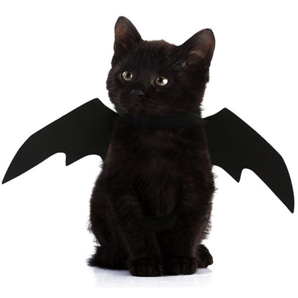 

cat costumes dog costume bat creative small pet wing suppiles