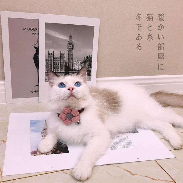 

cat collar woolen dog bandana bowknot pet necklace costumes