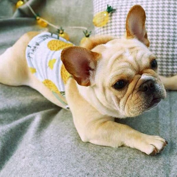 

dog apparel breathable print puppy vests t-shirts summer pet dogs sleeveless cotton cat clothes soft shirts chihuahua teddy clothing