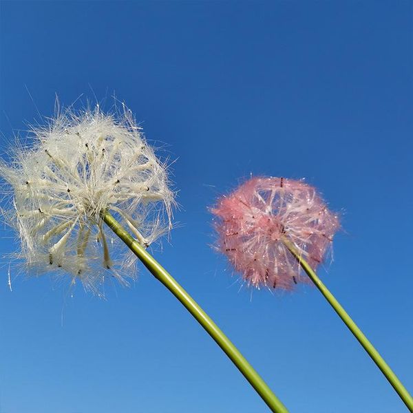 

decorative flowers & wreaths simple dandelion artificial flower living room decoration fake plants home accessories desk decor greenery