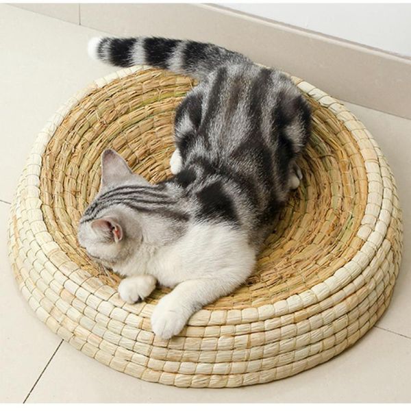 

cat beds & furniture summer comfortable bed unique creative cool modern cute nordic for indoor gatos accesorios pet ei50mw