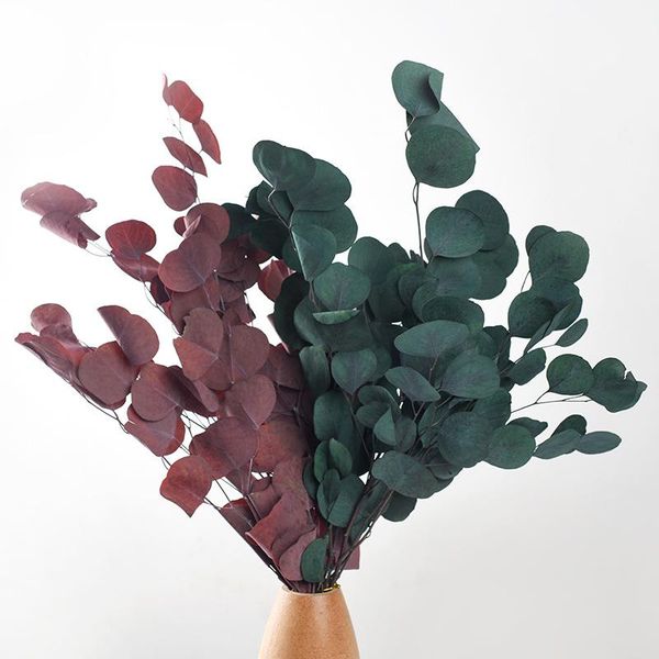 

decorative flowers & wreaths 30/60g natural preserved eucalyptus leaves bouquet eternal display dry flower apple wedding home decoration pog