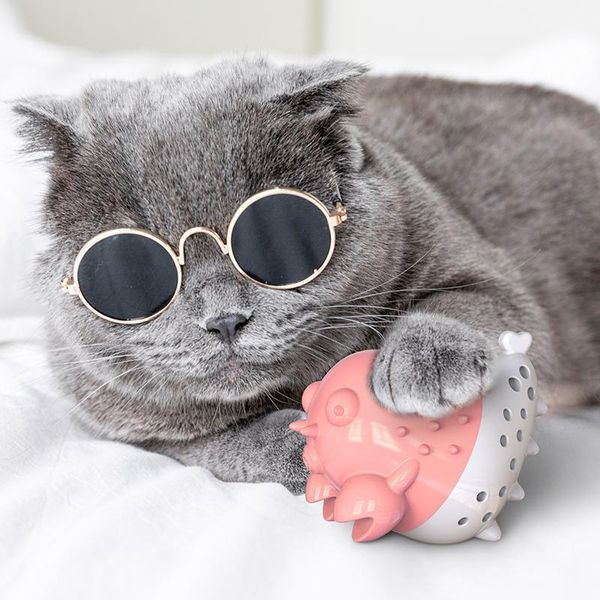 

cat toys crayfish multi-function toy mint fish molars teeth bite stick automatic voice self hi hair rubbing magic device