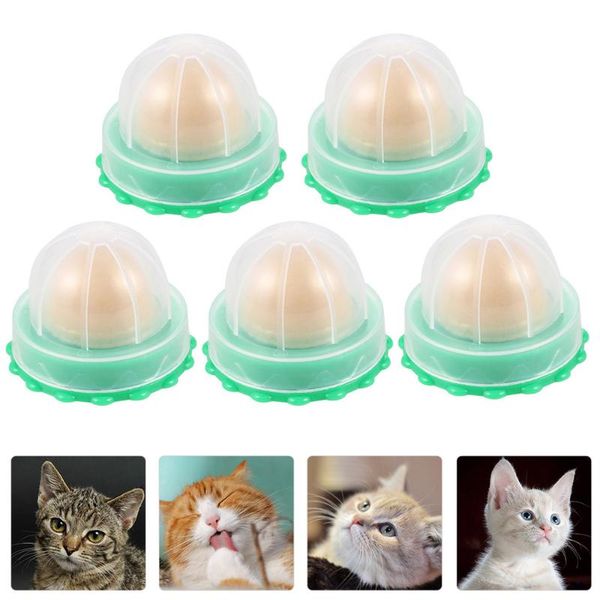 

kennels & pens 5pcs cat candy pet sugar catnip snack (random flavor)