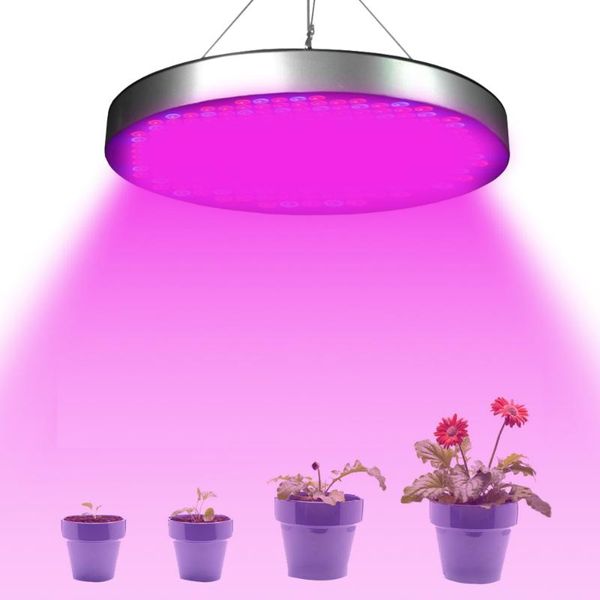 

growing lamps 250 led grow light 50w ac85-265v full spectrum indoor flowers seedlings phytolamp for greenhouse tent lights