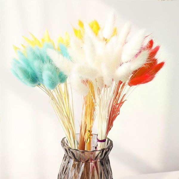

decorative flowers & wreaths 30pcs tail grass natural dried for home decoration flower arrangement wedding real props