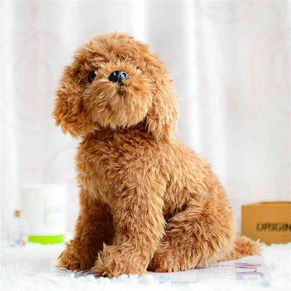 Teddy Dog Дети плюшевые игрушки коричневые симуляторы Прекрасные дети подарки Kawaii LifeLike Furned Животные куклы Cute Forfar Breake 210728