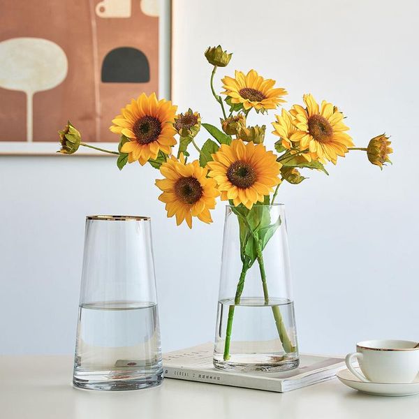 

vases vase transparent simple glass bottle dining table crafts ornaments home decoration accessories dried flowers