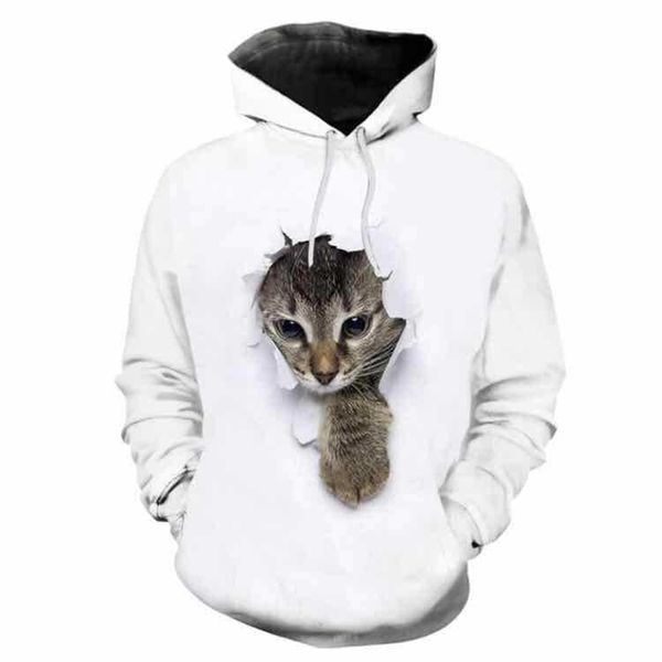 

3d cat printed men's sweater, Black