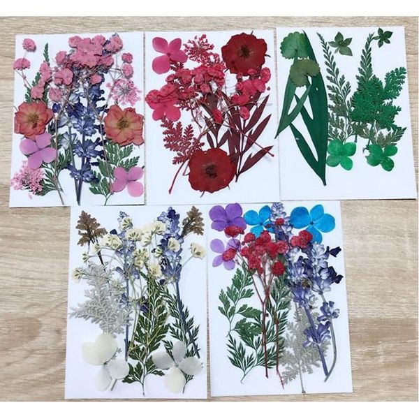 

decorative flowers & wreaths beautiful natural pressed dried branches diy scrapbooking arts crafts phone case card decoration