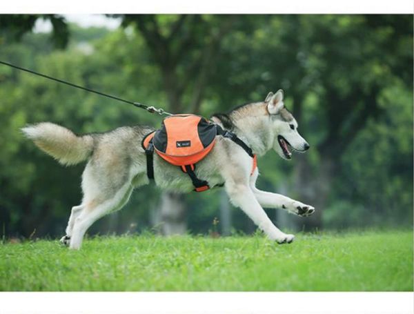 

dog collars & leashes [tailup] harness k9 for large dogs pet vest outdoor puppy small leads accessories carrier backpack py0025