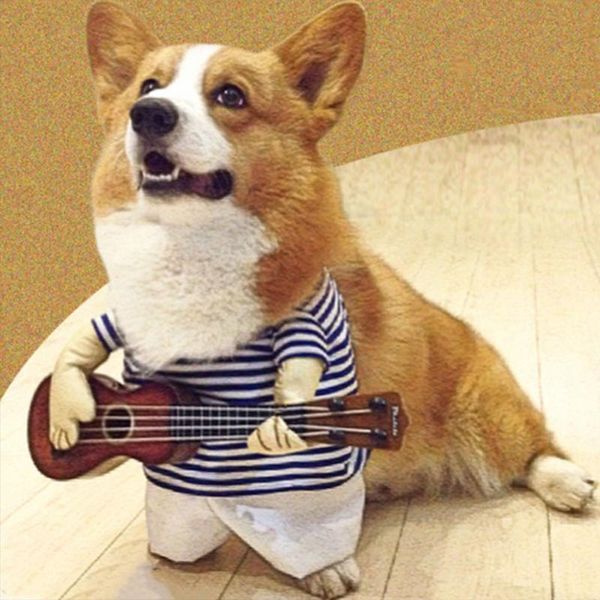 

dog apparel pet guitar clothes guitarist dressing costume fancy dress cosplay