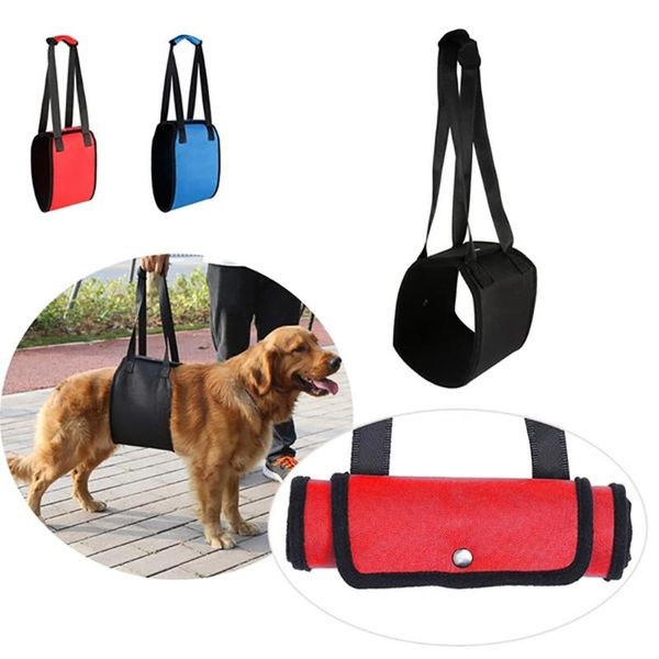 

dog collars & leashes protector rope stand up tool harness pet wheelchair blind aid assist sling