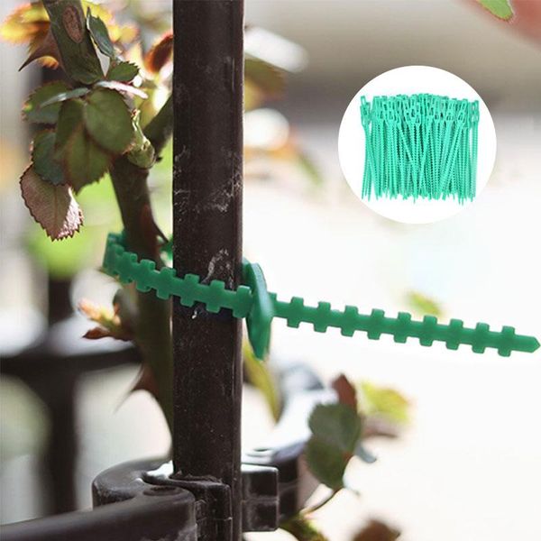 

other garden supplies 50pcs/100pcs reusable plastic plant support clamp hanging vine greenhouse vegetable tomato