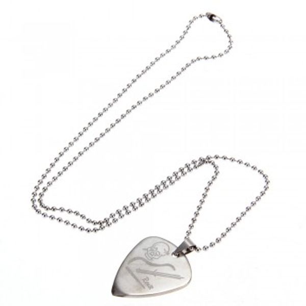 

Pick Pendant Necklace Chain Metal for Electric Guitar Bass Skull Punk