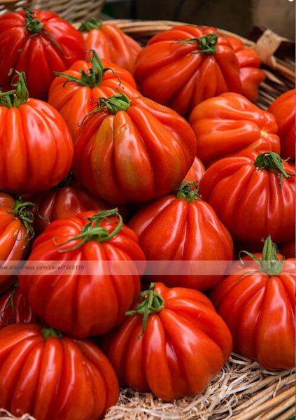 

50 шт., редкие~экзотические~фамильные органические супер-здоровые антиоксидант бо