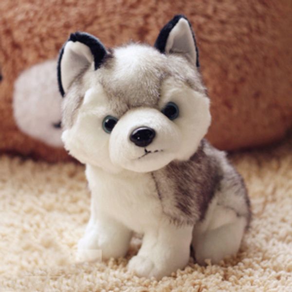

husky dog plush toys small stuffed animals doll toys birthday gift 18cm 7" inch ng
