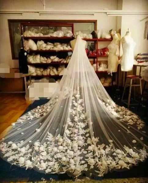 Fiori di lusso Veli da sposa Lunghezza cattedrale per matrimonio Immagine reale Veli da sposa Veli lunghi tre metri Applique in pizzo Veli da sposa