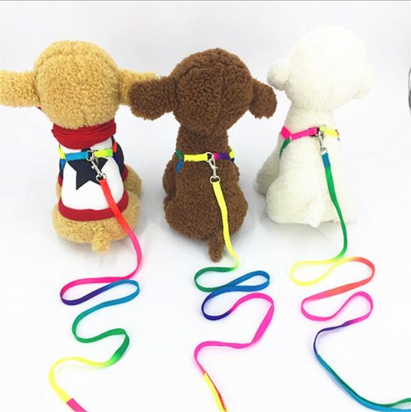 Arnês do cão do animal de estimação do arco-íris leashes nylon ajustável do cão do animal de estimação do cão de estimação traseira Puxando a corda de tração colorida do animal de estimação