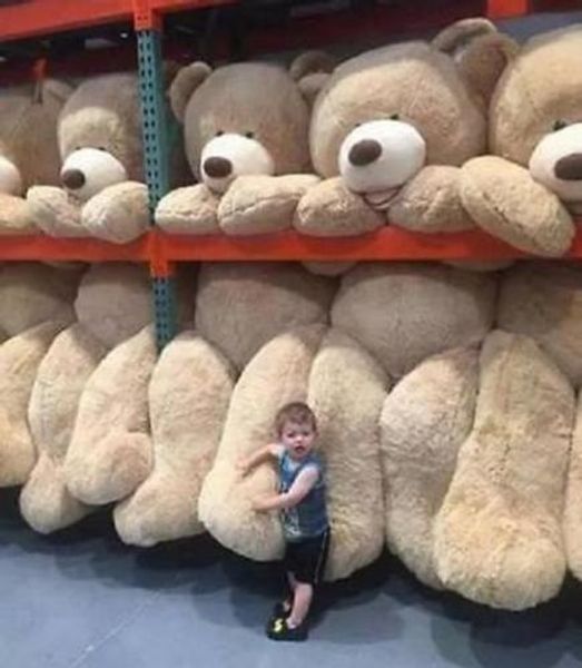 URSO DE PELUCHE SUPER ENORME 260 CM (SÓ CAPA) CONCHA DE BRINQUEDO DE PELÚCIA (COM ZÍPER) 102 