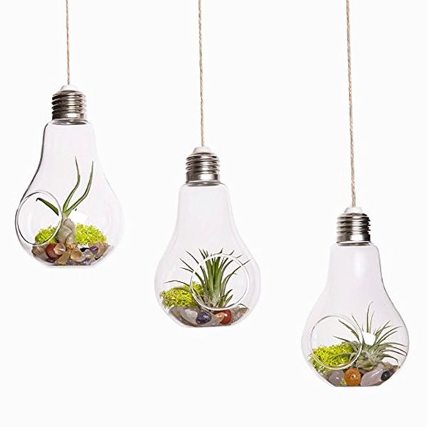 Pack Of 3 Light Bulb Glass Terrariums Air Plants Holders Hanging Planters For Succulents For Indoor Garden Decorations Vases Sale Vases Set Of 3 From