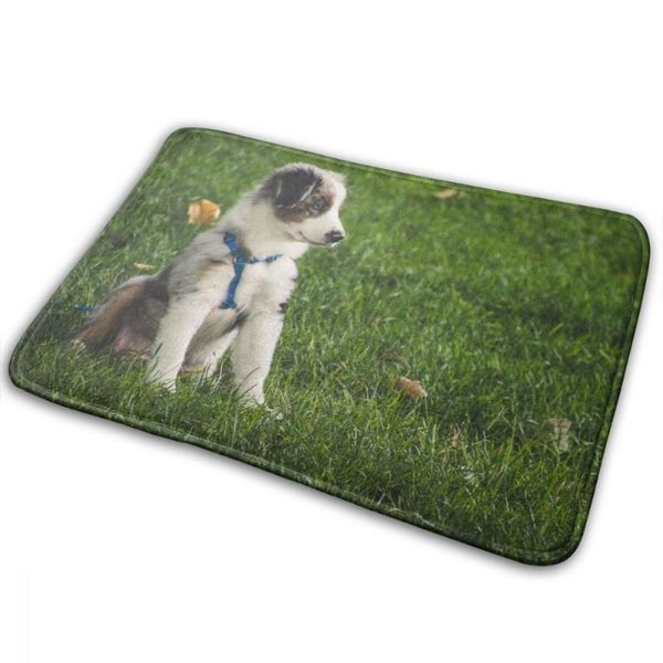 

carpets cartoon animal dog door mat non-slip carpet soft cat cute home bathroom balcony doorway hallway absorbent