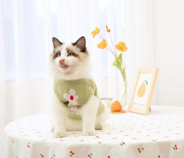 

cat costumes sweater coat autumn winter warm cute knitwear