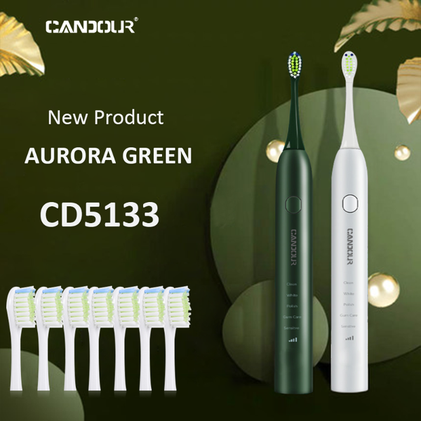 

smart electric toothbrush candour sonic cd5133 usb charge rechargeable waterproof electronic tooth 8 brushes replacement heads
