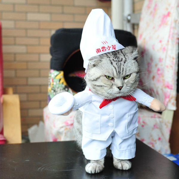 

chef stye pet dog cothes cat costume dog py